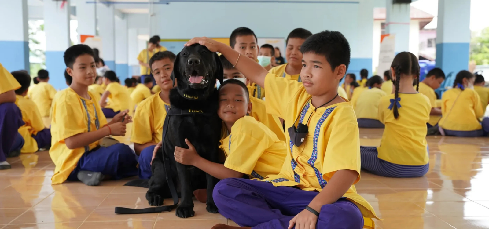 Advocating Human Rights Through Visual Stories